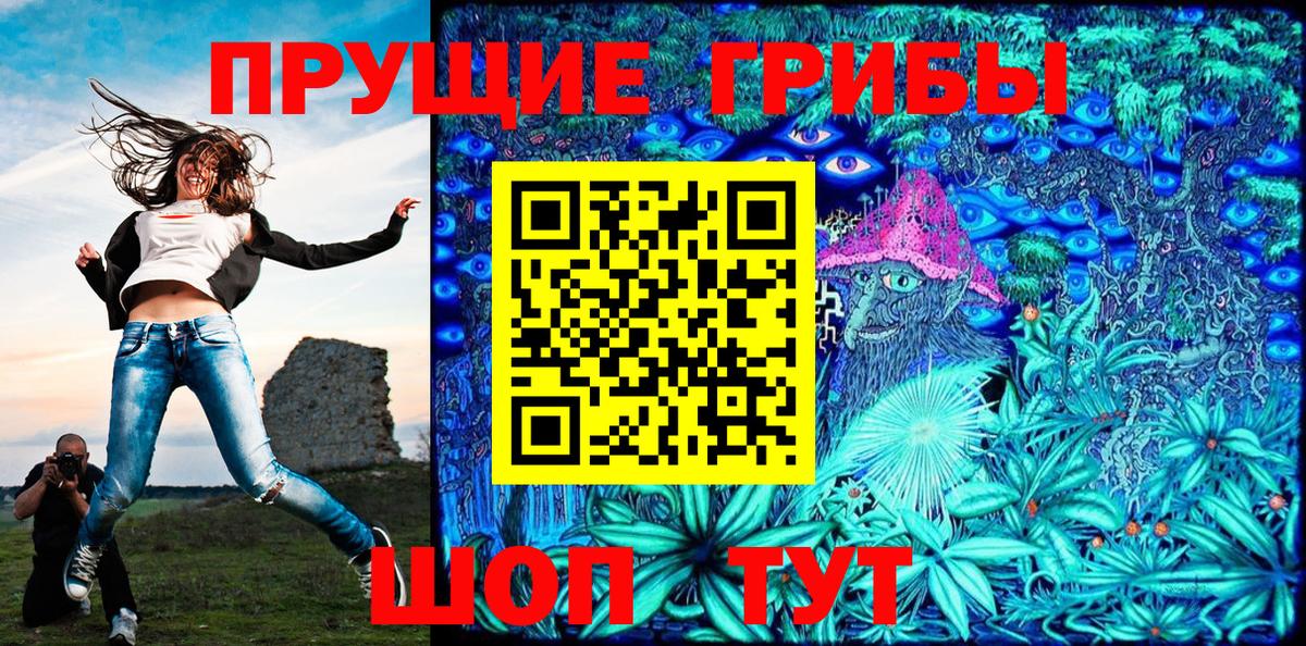Псилоцибиновые грибы Psilocybine cubensis Ишим