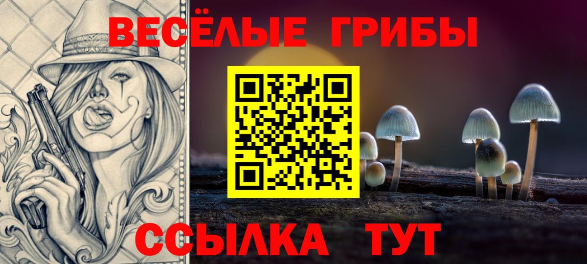 Ишим  Галлюциногенные грибы прущие грибы  Вход с VPN  Псилоцибиновые грибы прущие грибы 