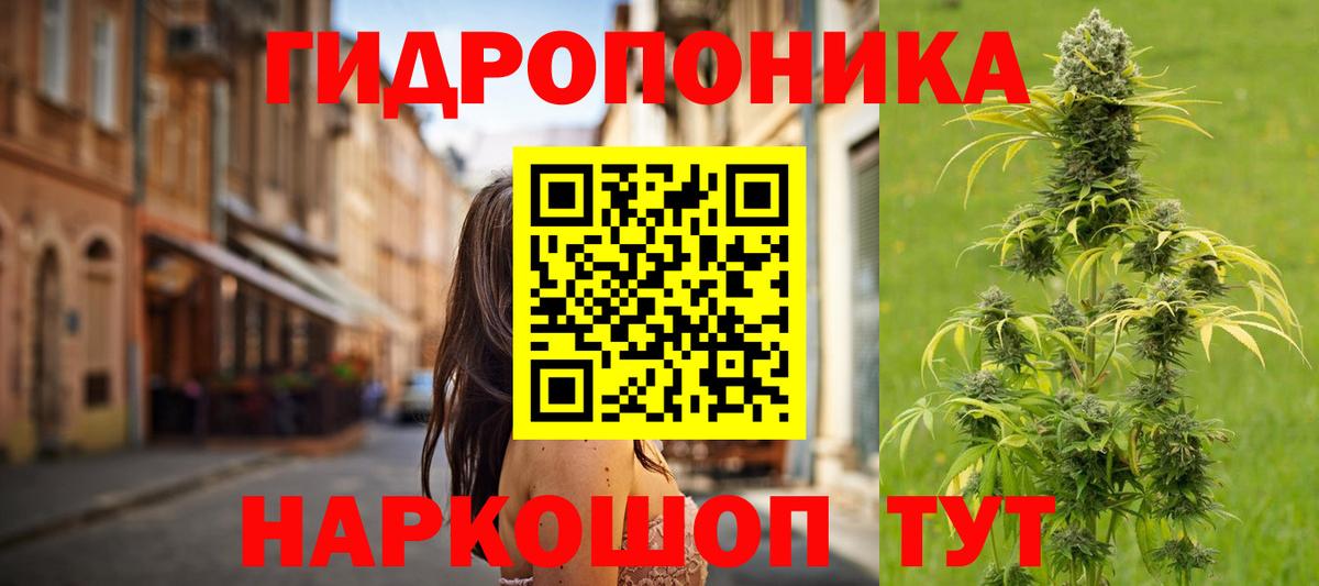 Конопля планчик  Вход с VPN  Бошки Шишки Bruce Banner  МАРИХУАНА план  Ишим 
